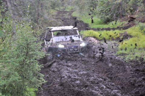 1986 Ford F-150 photo