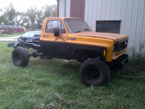 1978 Chevrolet C/K Pickup photo