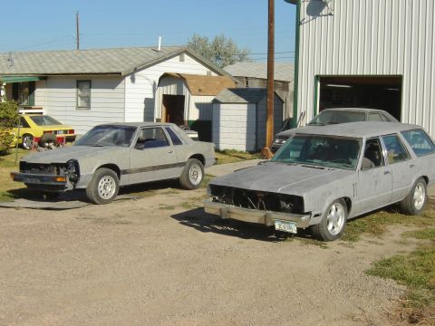 1982 Mercury Zephyr photo