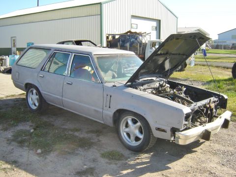 1982 Mercury Zephyr photo
