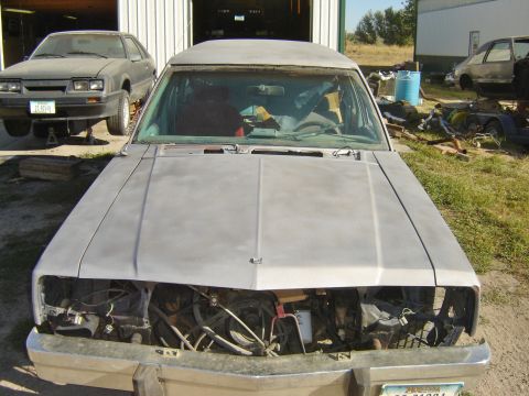 1982 Mercury Zephyr photo