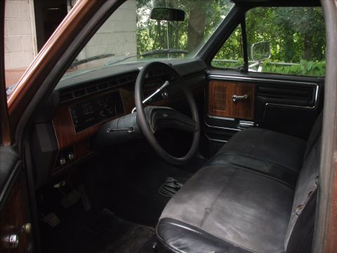 1980 Ford F-150 photo