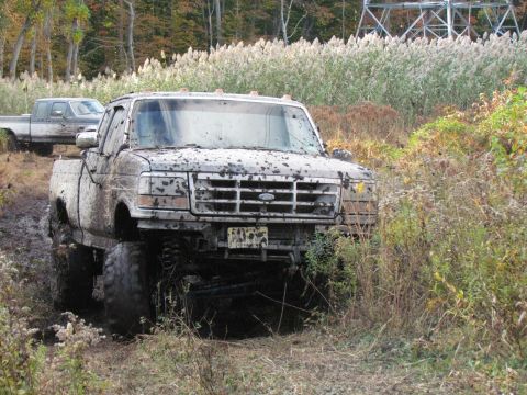 1993 Ford F-150 photo