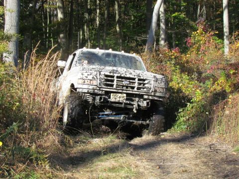 1993 Ford F-150 photo