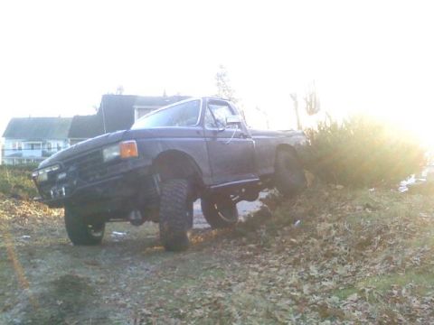 1994 Ford F-150 photo