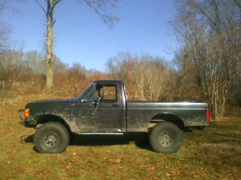 1994 Ford F-150 photo