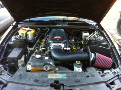 2008 Ford Mustang photo