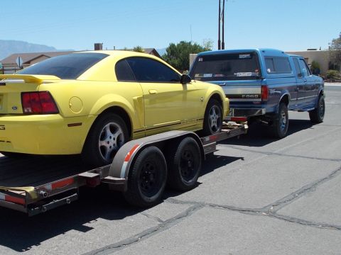 2001 Ford Mustang photo