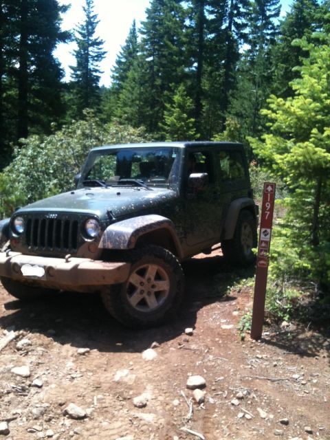 2005 Jeep Wrangler photo