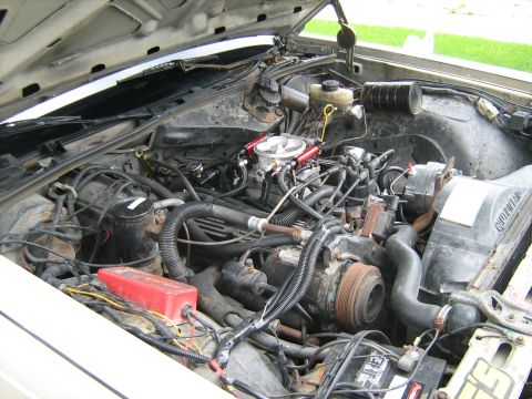 1988 Mercury Grand Marquis photo