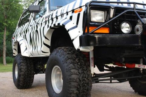 1979 Ford Bronco photo