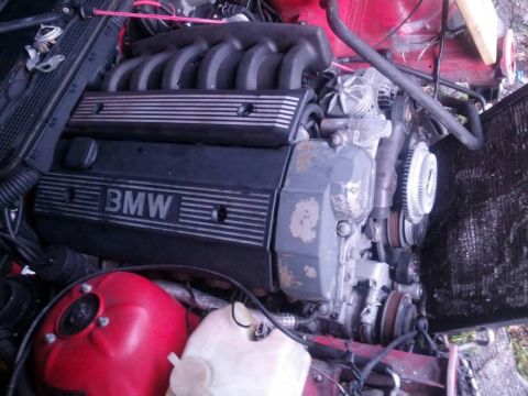 1996 BMW 3 Series photo