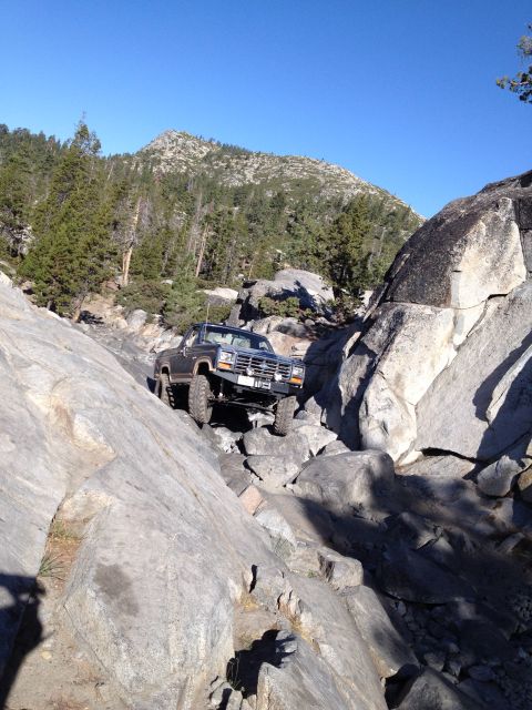 1986 Ford Bronco photo