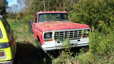 1979 Ford F-350 photo
