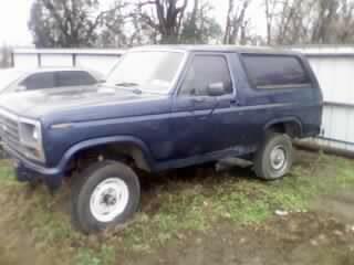 1983 Ford Bronco photo